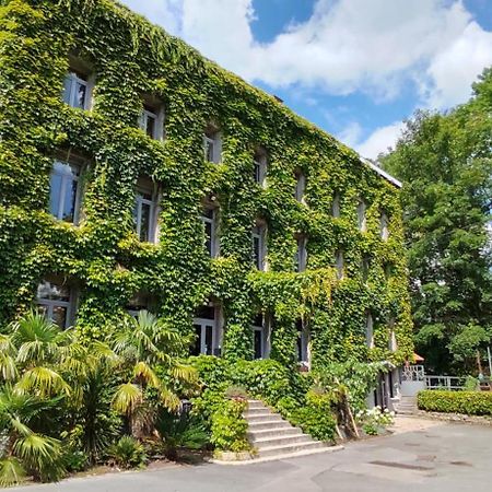 Logis Hotel-Restaurant - Le Moulin D'Artres Bagian luar foto