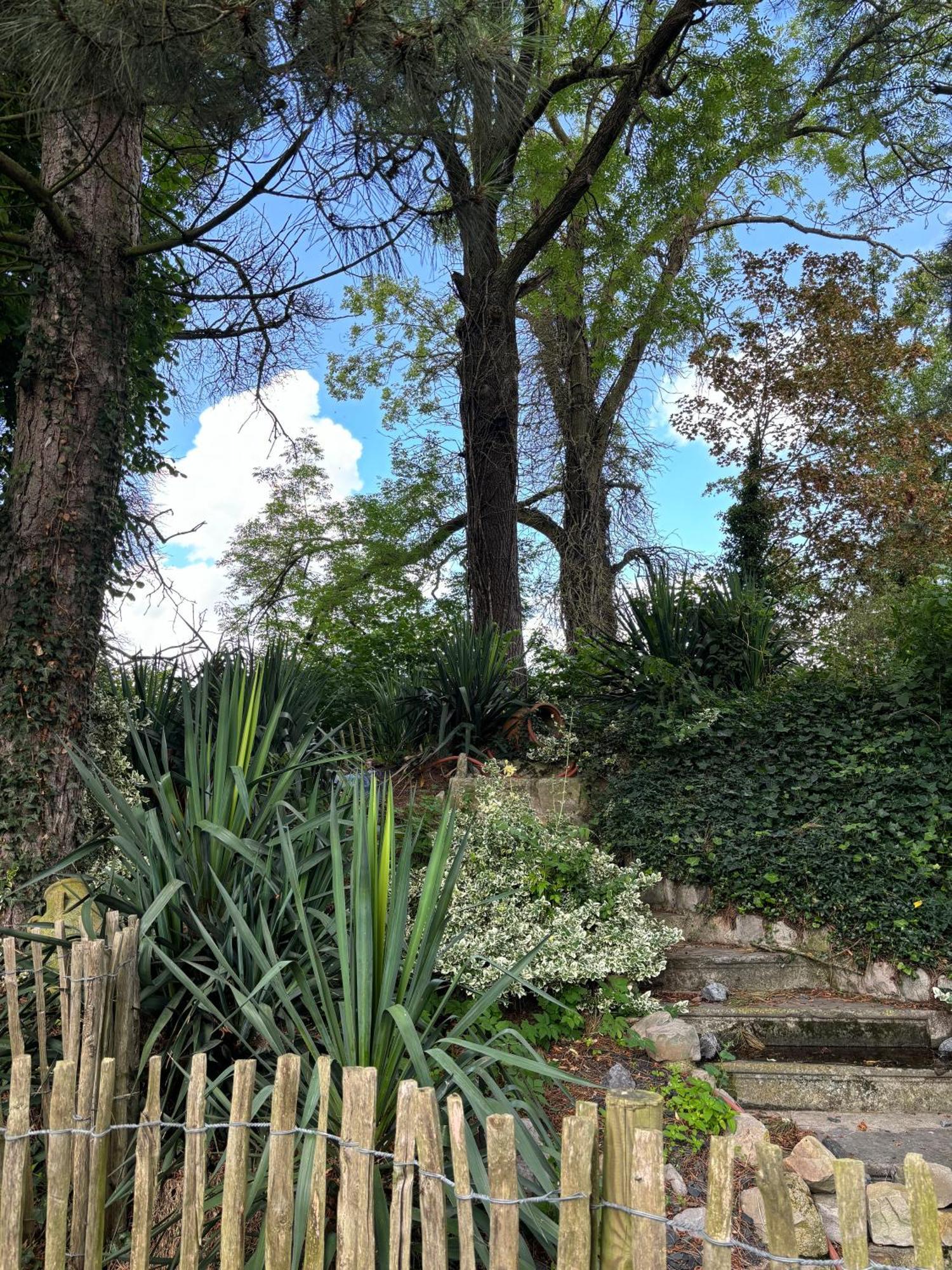 Logis Hotel-Restaurant - Le Moulin D'Artres Bagian luar foto