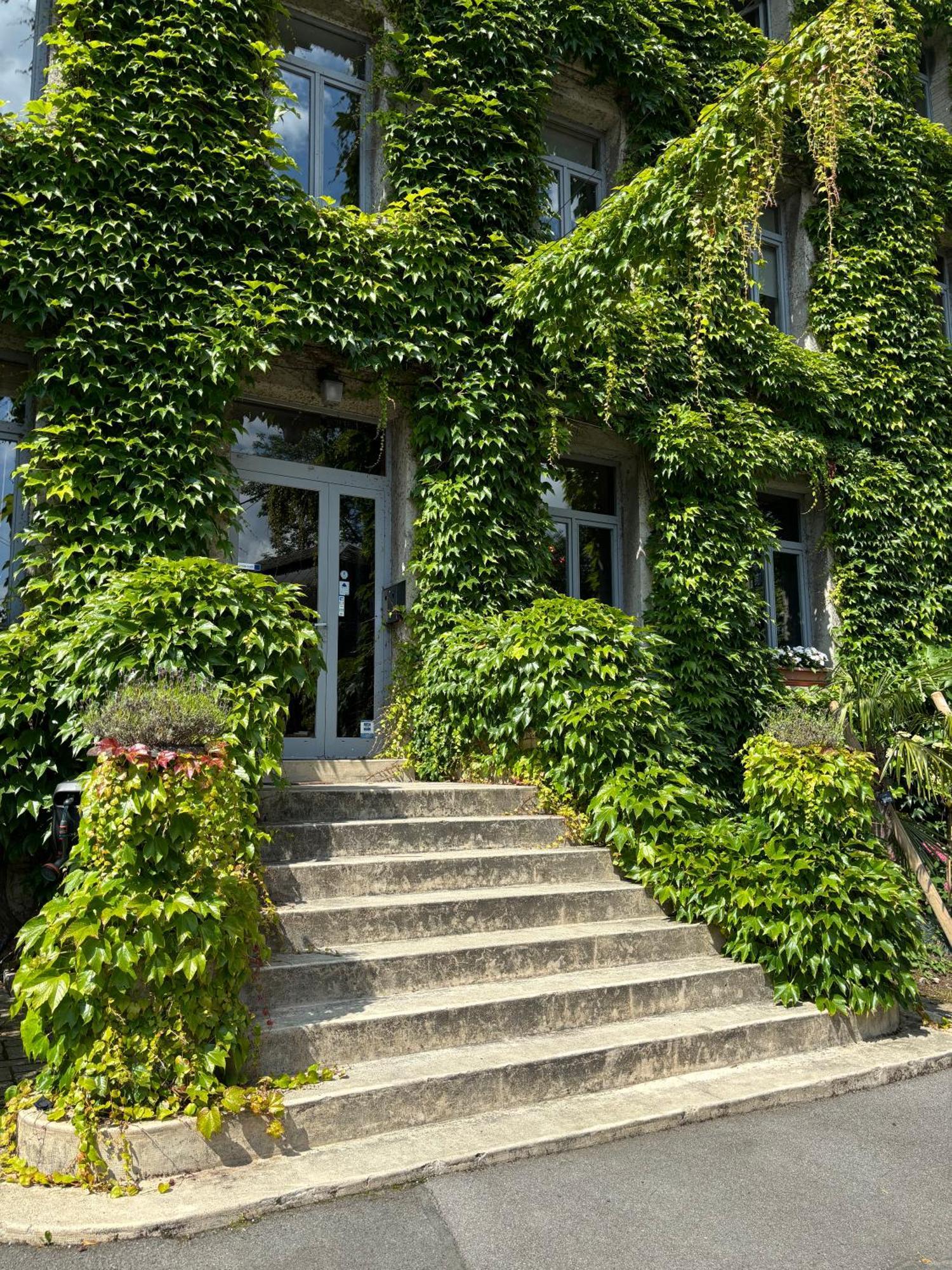 Logis Hotel-Restaurant - Le Moulin D'Artres Bagian luar foto