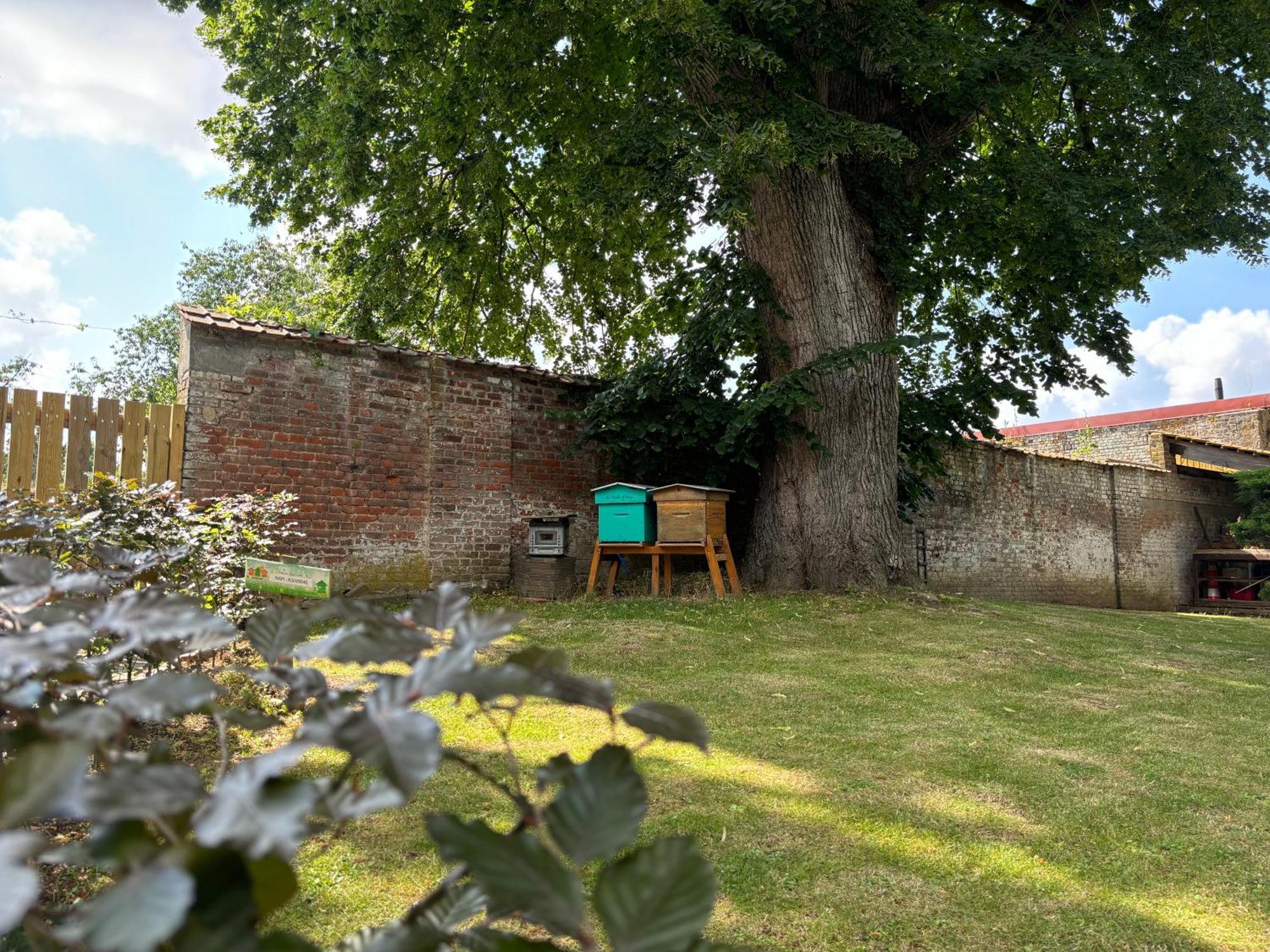 Logis Hotel-Restaurant - Le Moulin D'Artres Bagian luar foto