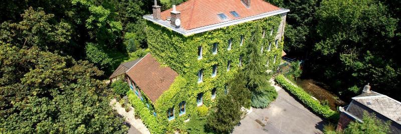 Logis Hotel-Restaurant - Le Moulin D'Artres Bagian luar foto